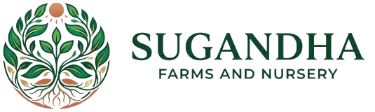 Sugandha Farms and Nursery