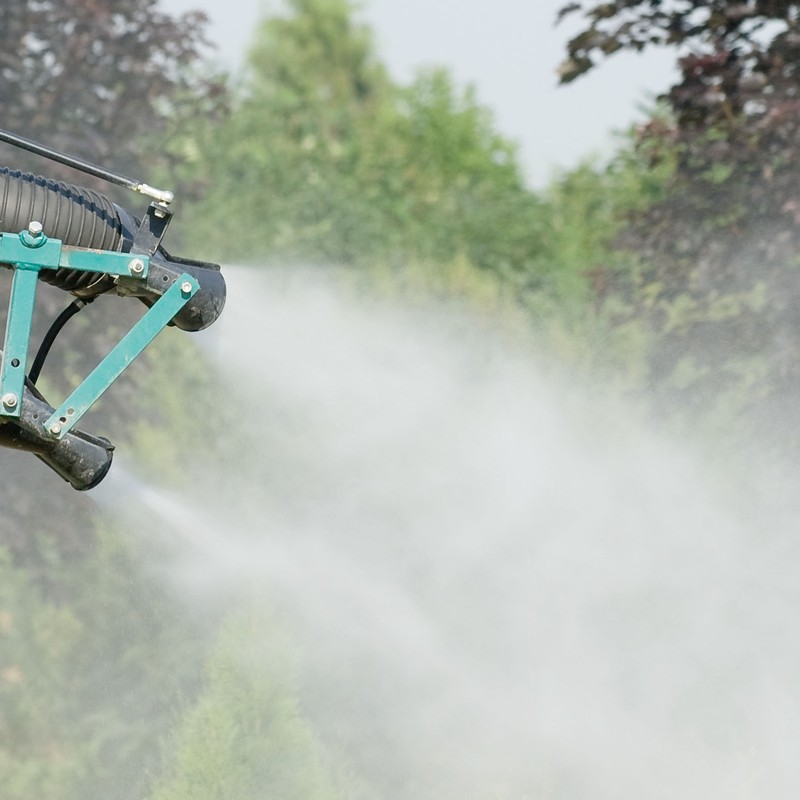 Garden Insect Control
