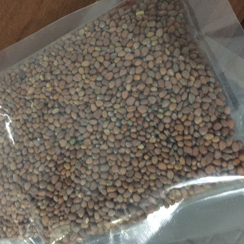 Microgreen Seed Pack