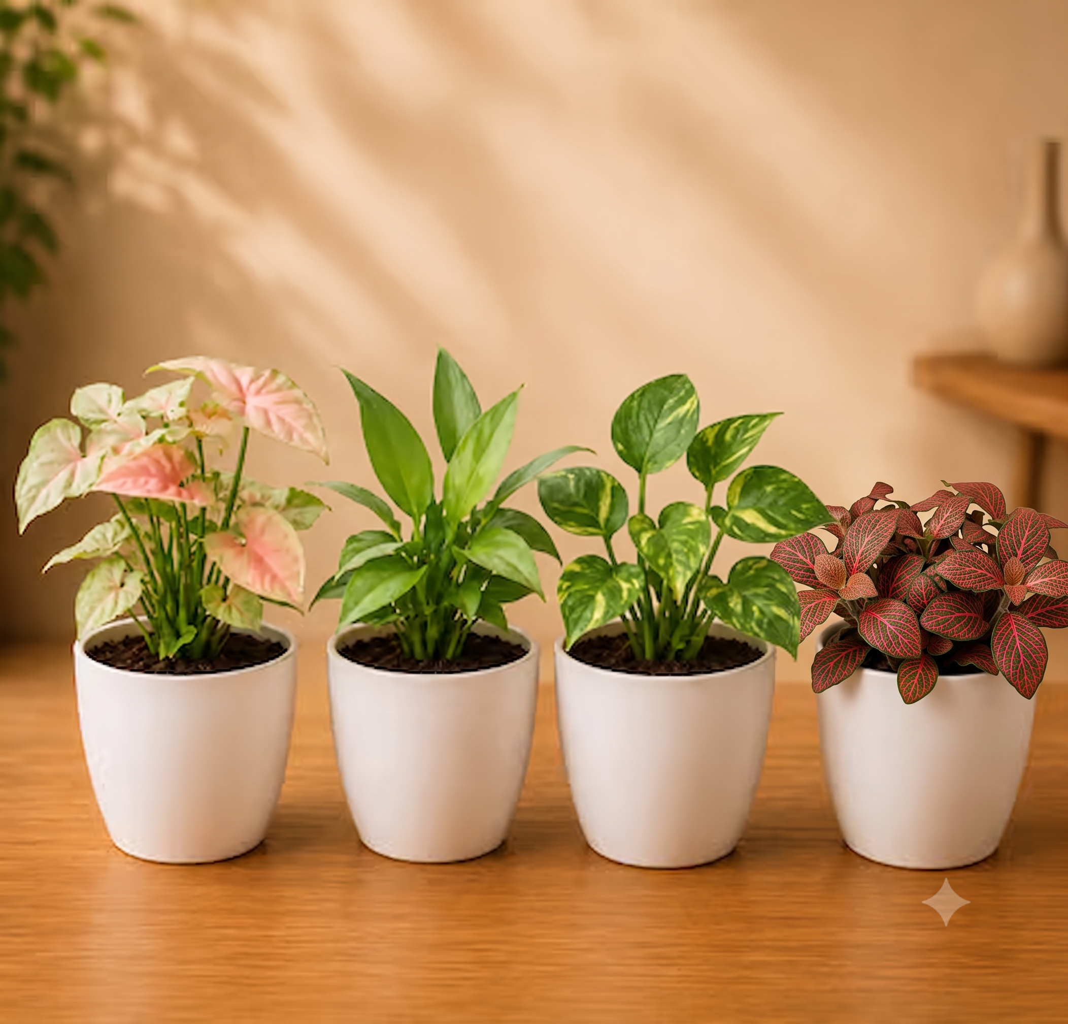 Four Seasons Tabletop Plant Combo (Pink Syngonium, Peace Lily, Pothos, Fittonia - Set of 4) live nursery specimen